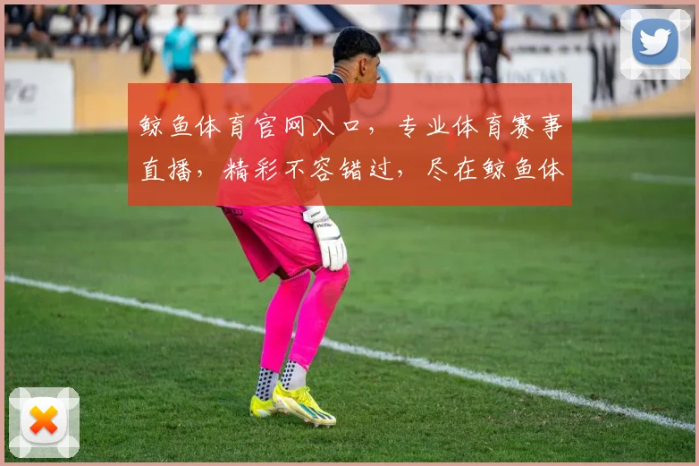 鲸鱼体育官网入口,专业体育赛事直播,精彩不容错过,尽在鲸鱼体育,体验非凡