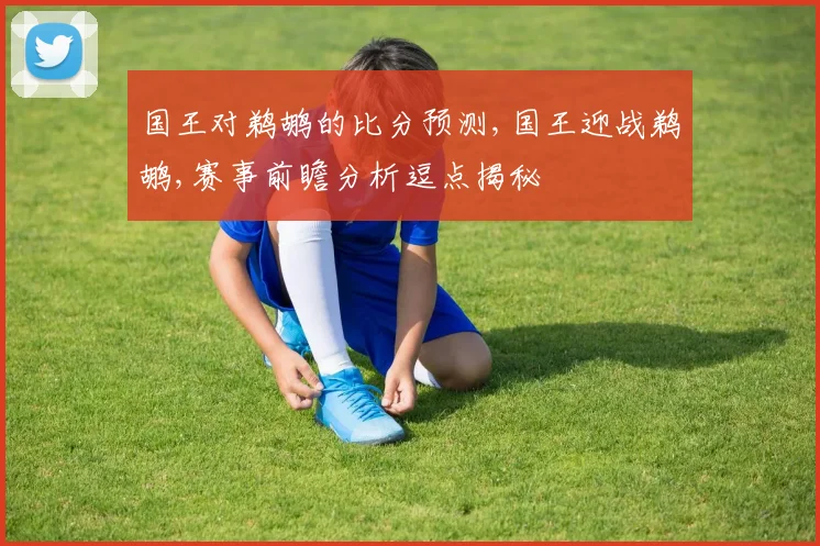 国王对鹈鹕的比分预测,国王迎战鹈鹕,赛事前瞻分析逗点揭秘